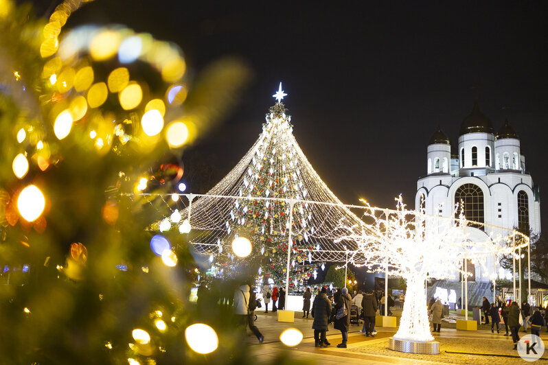 Засияла долгожданная: на площади Победы закончили оформление главной новогодней ёлки Калининграда (фоторепортаж)  - Новости Калининграда | Фото: Александр Подгорчук / «Клопс»