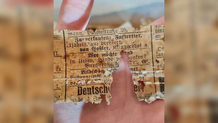 В калининградском музее во время ремонта нашли трогательные объявления собачников начала XX века (фото) - Новости Калининграда | Фото: сообщество «ALTES HAUS, музей-квартира» // «ВКонтакте»