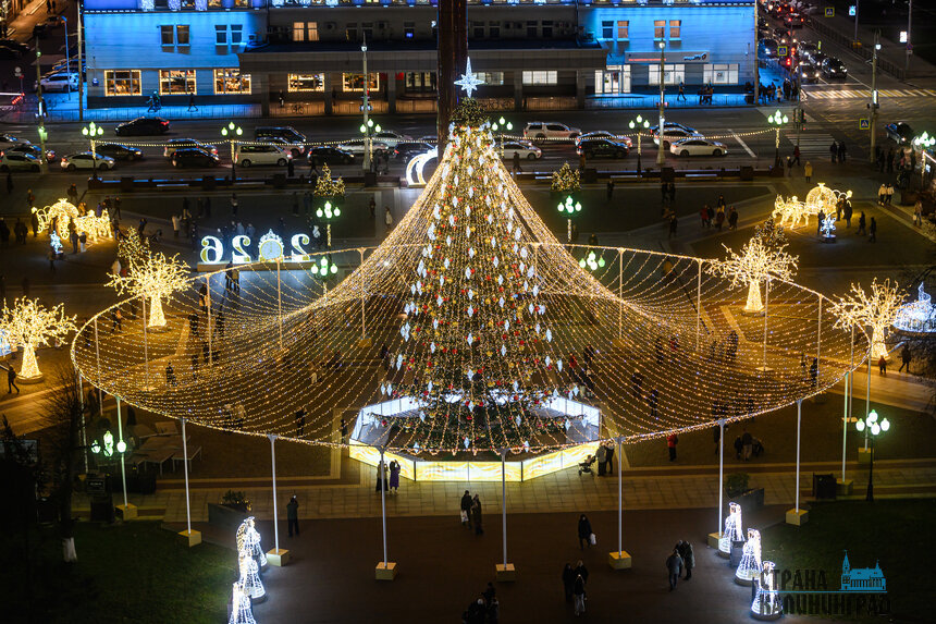 Новая ёлка на площади Победы, Калининград | Фото: Александр Мелехов