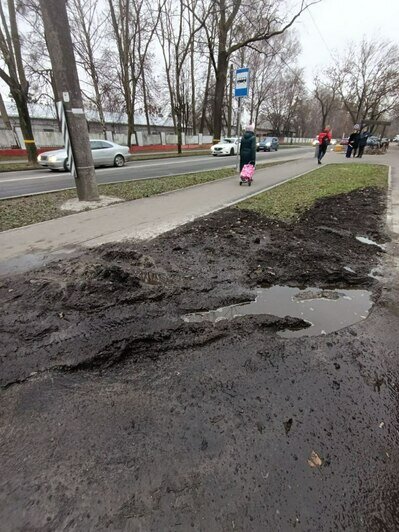 В Калининграде на Емельянова автомобили раскатали газоны. | Фото: "Страна Калининград"