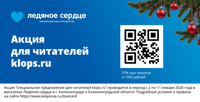 Калининградка объяснила, как упростить новогодние хлопоты и сохранить силы - Новости Калининграда