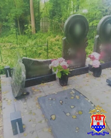 Полицейские нашли вандала, который разгромил 24 могилы на старом кладбище Калининграда  - Новости Калининграда | Фото: УМВД Калининградской области 