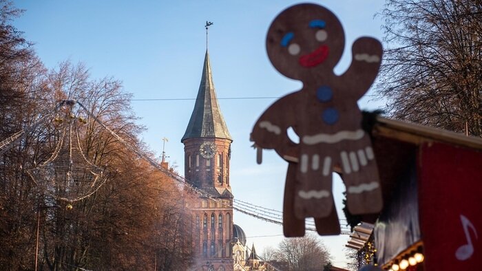 Упасть в кроличью нору или найти выход в Нарнию: на острове Канта открывается рождественская ярмарка - Новости Калининграда