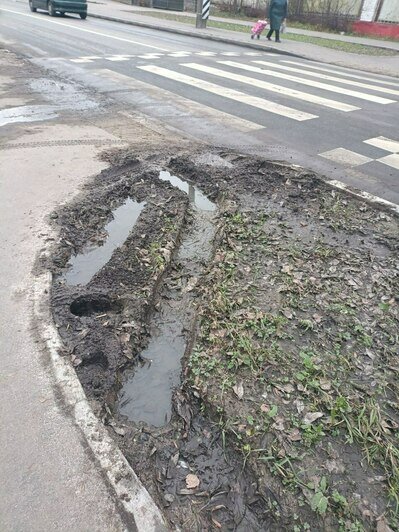 В Калининграде на Емельянова автомобили раскатали газоны. | Фото: "Страна Калининград"