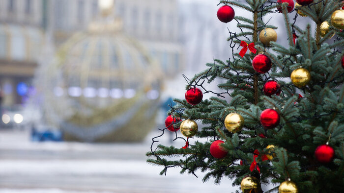 Снегопад добрых дел: 5 новогодних акций и флешмобов для жителей Калининградской области - Новости Калининграда | Фото: архив «Клопс»