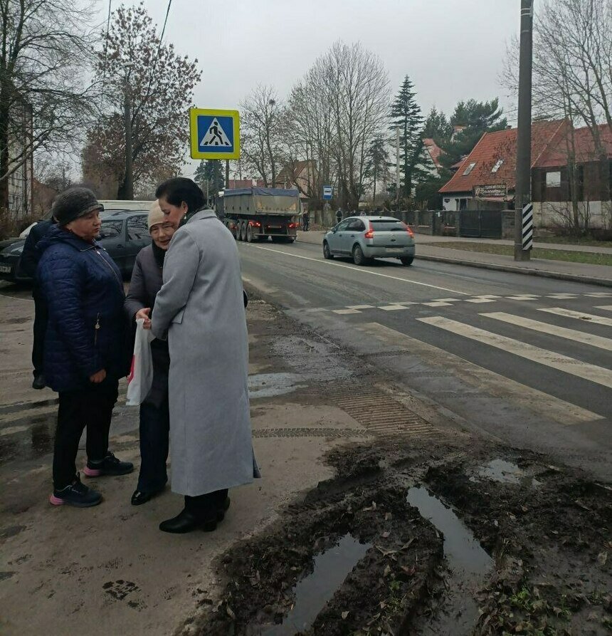  Жители пожаловались на поврежденный газон Елене Дятловой. | Фото: «Страна Калининград»
