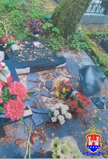 Полицейские нашли вандала, который разгромил 24 могилы на старом кладбище Калининграда  - Новости Калининграда | Фото: УМВД Калининградской области 
