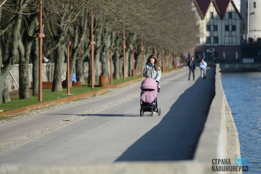 Потратить деньги можно на приобретение товаров, средств ухода и продуктов питания. | Фото: Александр Мелехов