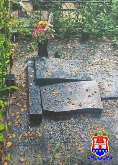 Полицейские нашли вандала, который разгромил 24 могилы на старом кладбище Калининграда  - Новости Калининграда | Фото: УМВД Калининградской области 