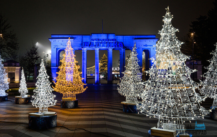 Новогодний Калининград | Фото: Александр Мелехов