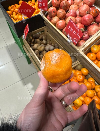 Калининградка заставила супермаркет навести чистоту, сфотографировав гнилые овощи и фрукты     - Новости Калининграда | Фото: Мария