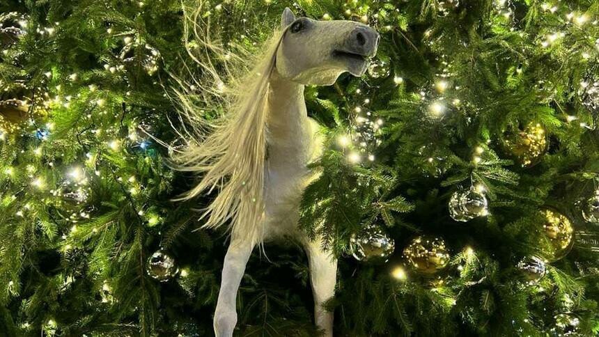 В Зеленоградске перед Новым годом нашли альтернативу котам - Новости Калининграда | Фото: пресс-служба администрации Зеленоградска