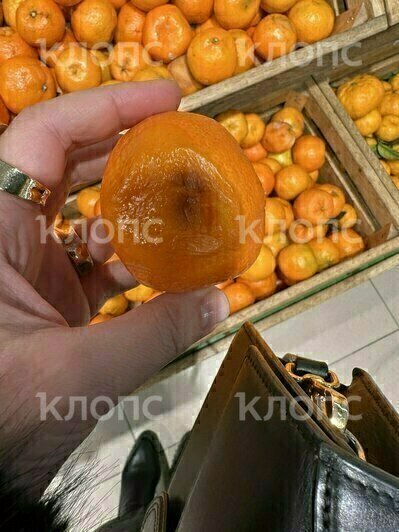 Калининградка заставила супермаркет навести чистоту, сфотографировав гнилые овощи и фрукты     - Новости Калининграда | Фото: Мария