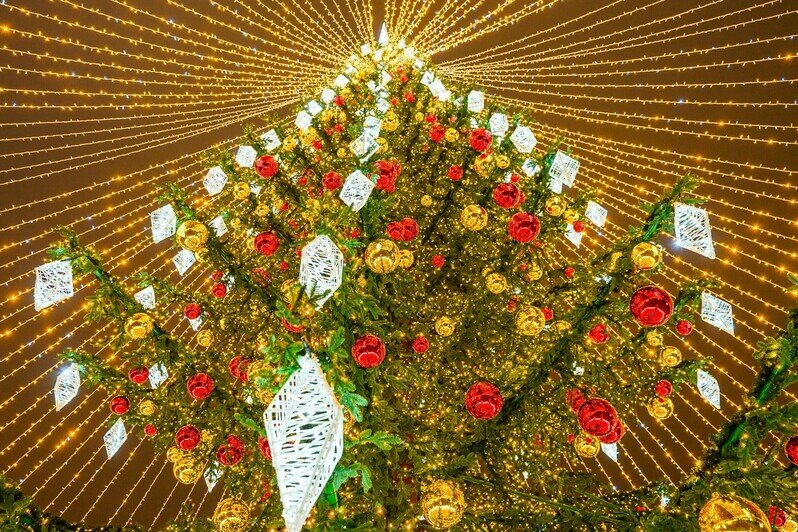 Калининград преобразился к зимним праздникам | Фото: Александр Мелехов