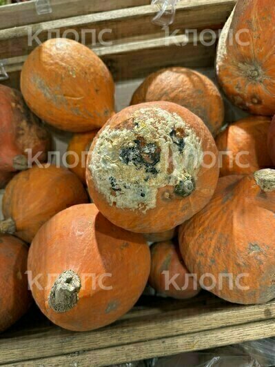 Калининградка заставила супермаркет навести чистоту, сфотографировав гнилые овощи и фрукты     - Новости Калининграда | Фото: Мария