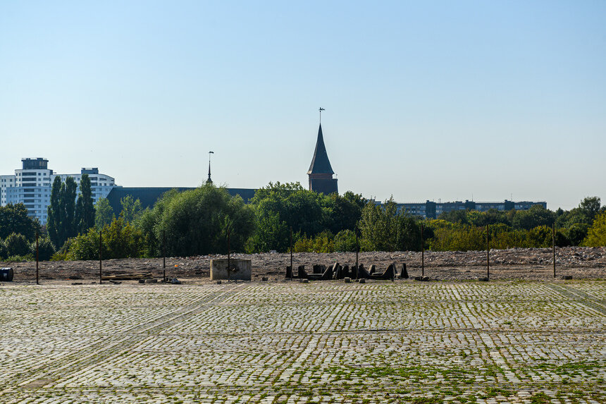 Дом Советов снесли в 2024 году, и теперь на этом месте пустырь   | Фото: Александр Мелехов