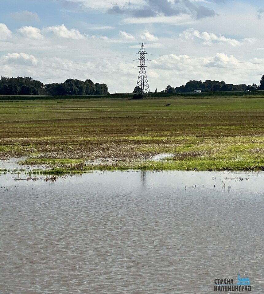 Всю осень поля в области стояли в воде | Фото: Оксана Сазонова