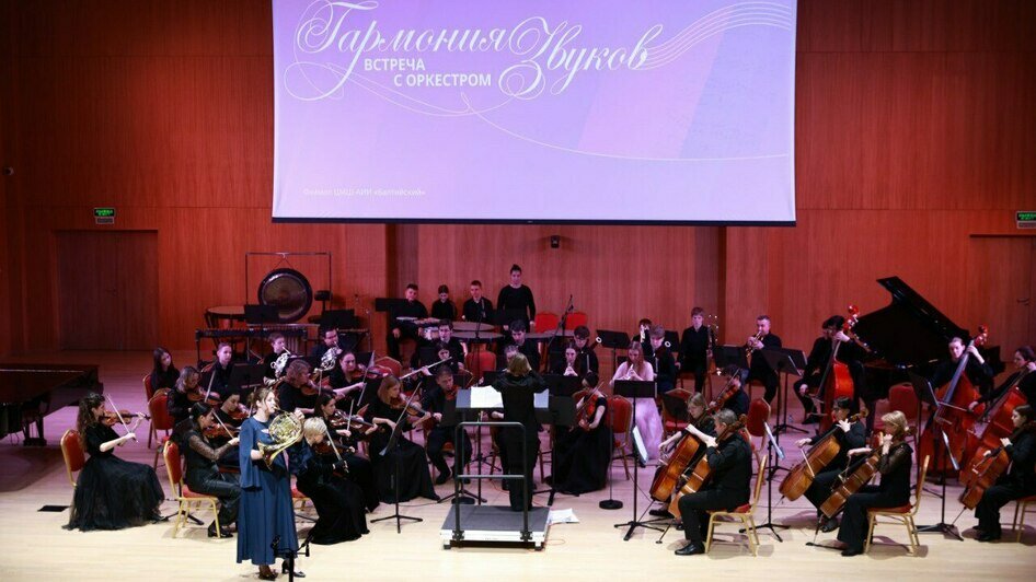 Концерт с уникальным оркестром стал праздником музыки - Новости Калининграда