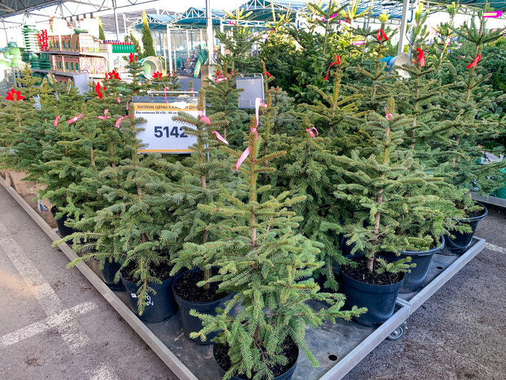 Лемана Про | Фото: Александр Мелехов