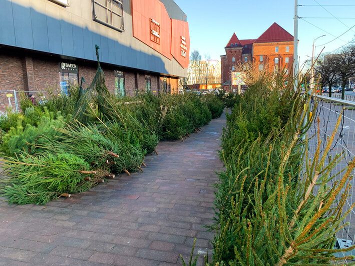 Z-форт | Фото: Александр Мелехов