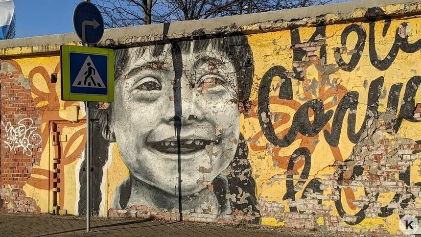 Калининградские стихийные муралы хотят поставить на учёт   - Новости Калининграда | Фото: «Клопс»