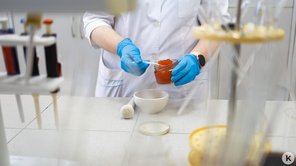 Икру измельчают, чтобы сделать вытяжку, которую и будут исследовать | Фото: Александр Подгорчук / «Клопс»