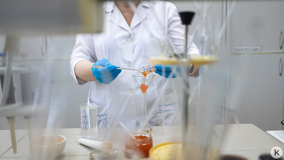 Икру измельчают, чтобы сделать вытяжку, которую и будут исследовать | Фото: Александр Подгорчук / «Клопс»