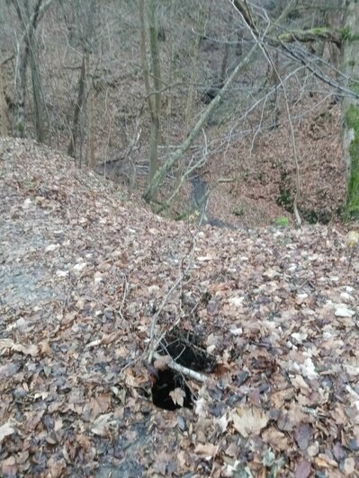 «Можно упасть и покалечиться»: в Отрадном на спуске к морю образовалась опасная яма (фото)   - Новости Калининграда | Фото: очевидец