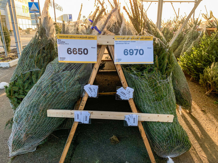 Лемана Про | Фото: Александр Мелехов