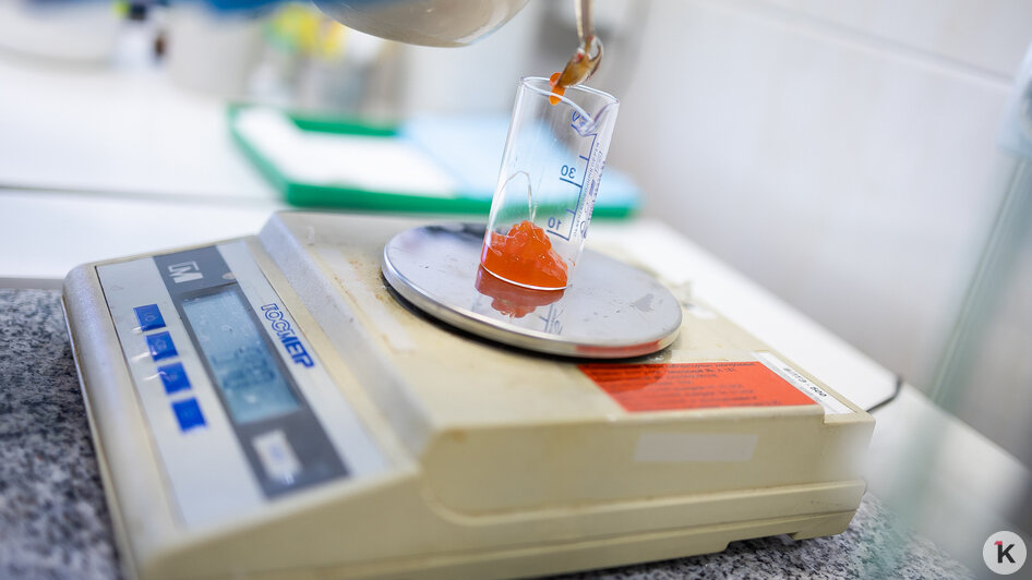 Икру измельчают, чтобы сделать вытяжку, которую и будут исследовать | Фото: Александр Подгорчук / «Клопс»