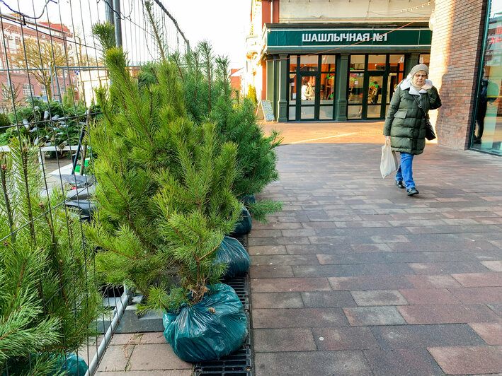 Z-форт | Фото: Александр Мелехов