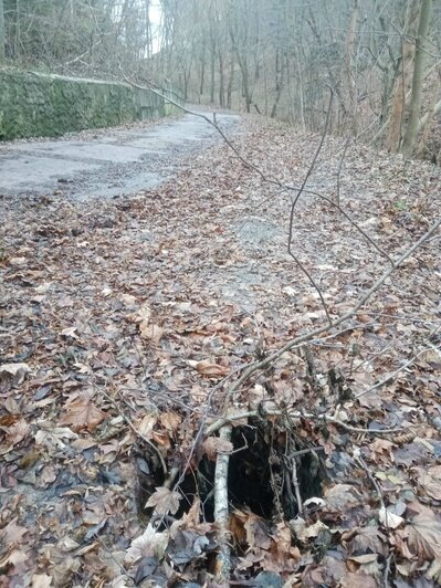 «Можно упасть и покалечиться»: в Отрадном на спуске к морю образовалась опасная яма (фото)   - Новости Калининграда | Фото: очевидец