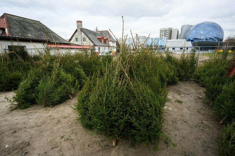 Ярмарка на ул. Портовой | Фото: Александр Мелехов