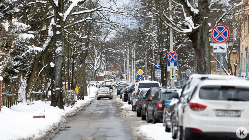 Дятлова рассказала, стоит ли ждать снега на Новый год в Калининграде - Новости Калининграда | Фото: Александр Подгорчук / Архив «Клопс»