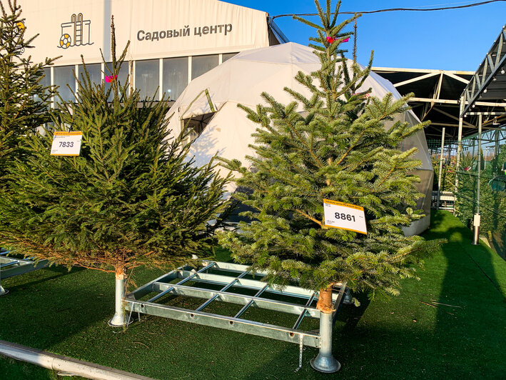 Лемана Про | Фото: Александр Мелехов