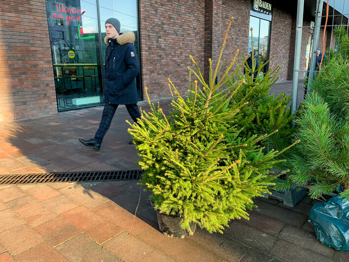 Z-форт | Фото: Александр Мелехов