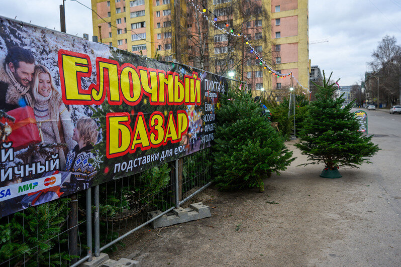 Ярмарка на ул. Портовой | Фото: Александр Мелехов