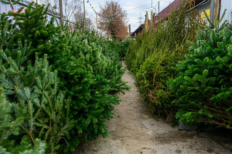 Ярмарка на ул. Портовой | Фото: Александр Мелехов