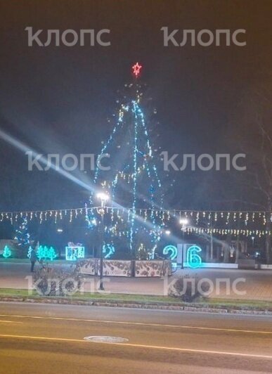 И вот она, убогая, на праздник к нам пришла: в Нестерове жители решили скинуться на украшение новогодней ёлки  - Новости Калининграда | Фото: очевидцы