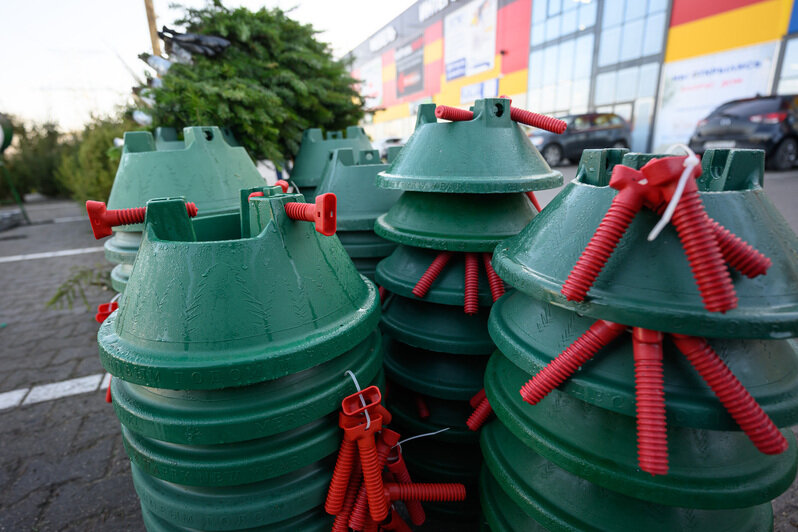 Акорус | Фото: Александр Мелехов