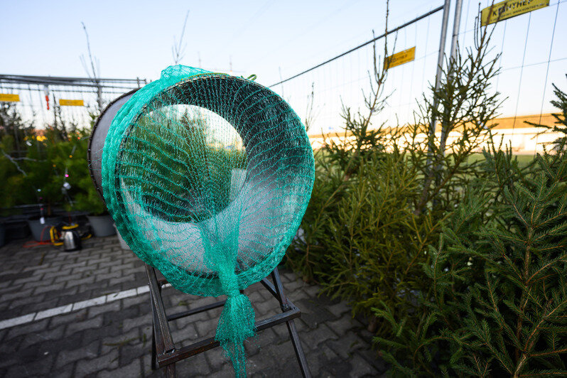 Акорус | Фото: Александр Мелехов