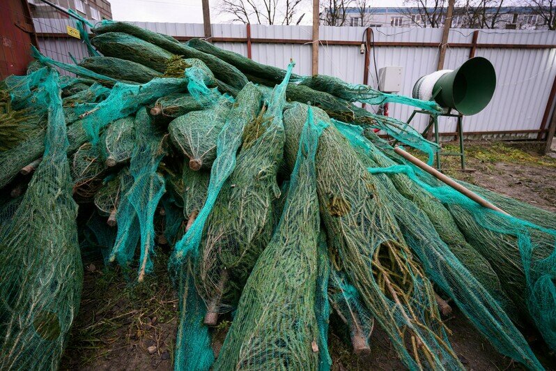 Ярмарка на ул. Портовой | Фото: Александр Мелехов