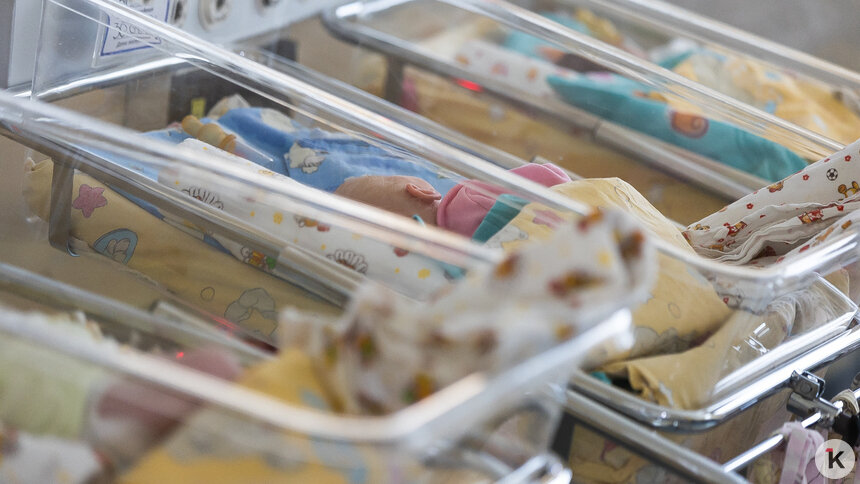 В Президентской академии назвали государственное слово России 2025 года   - Новости Калининграда | Фото: Александр Подгорчук / Архив «Клопс»