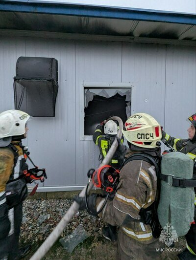 Под Калининградом едва не сгорели заживо 300 свиноматок и 5 000 поросят  (фото, видео) - Новости Калининграда | Фото: ГУ МЧС России по Калининградской области