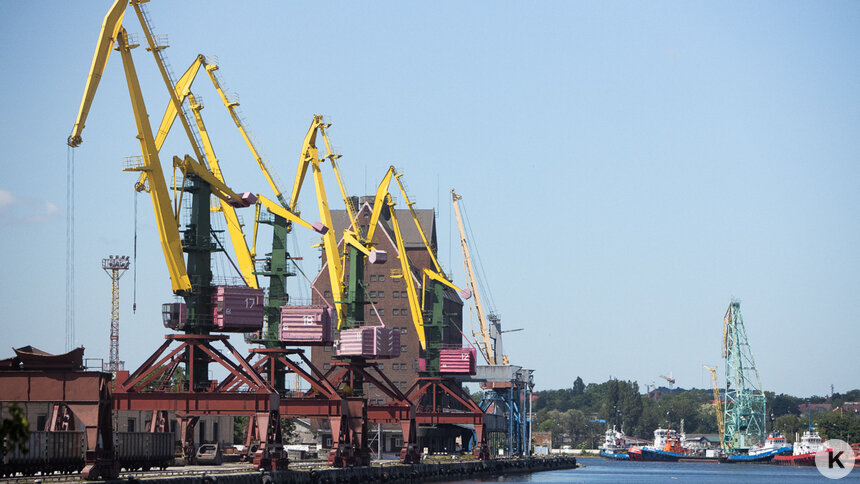 Прокуратура требует ужесточить приговор экс-гендиректору Калининградского морского торгового порта  - Новости Калининграда | Фото: Александр Подгорчук / Архив «Клопс»