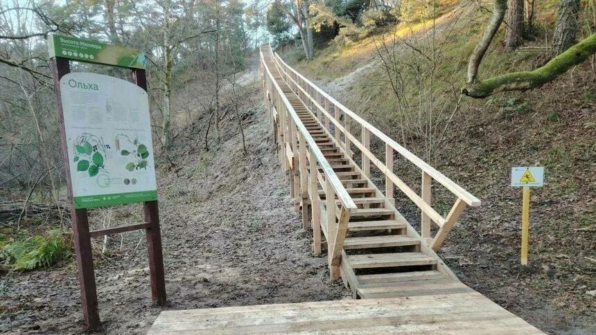 165 ступеней до лучшей панорамы: на Куршской косе отремонтировали лестницу на «Высоте Мюллера» - Новости Калининграда | Фото: пресс-служба национального парка «Куршская коса»