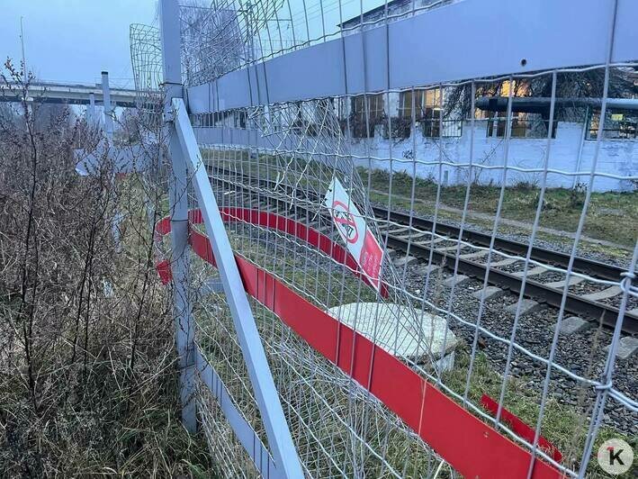 «Это не хулиганство — это логистика»: почему в Калининграде не работают заборы на ЖД - Новости Калининграда | Фото: «Клопс»