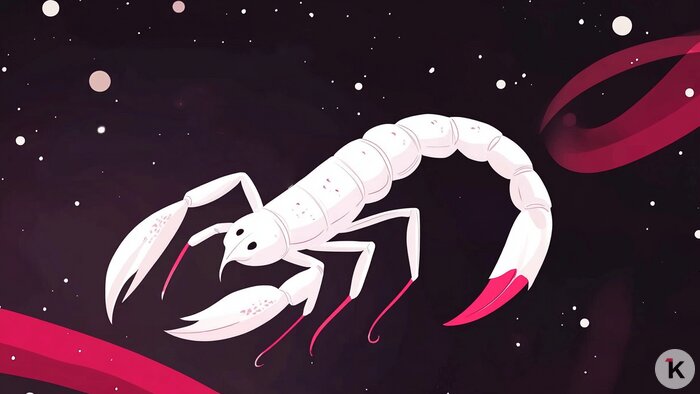 Львам нельзя полагаться на других, а Скорпионов ждёт судьбоносная встреча: гороскоп на рабочую неделю с 22 по 26 декабря   - Новости Калининграда | Иллюстрация: Ксения Александрова / «Клопс»