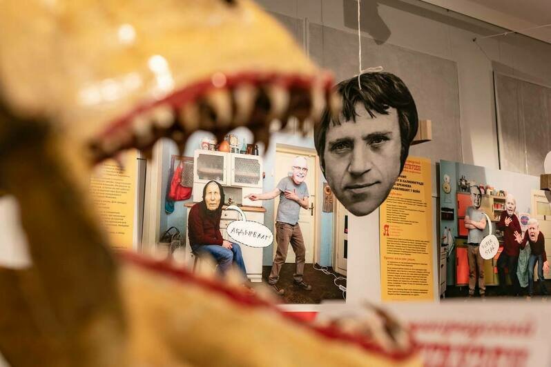 Открылась «документальная» выставка о том, как в Калининграде побывали Иван Грозный, Мессинг и Чебурашка (фото) - Новости Калининграда | Фото: телеграм-канал «Дом китобоя»