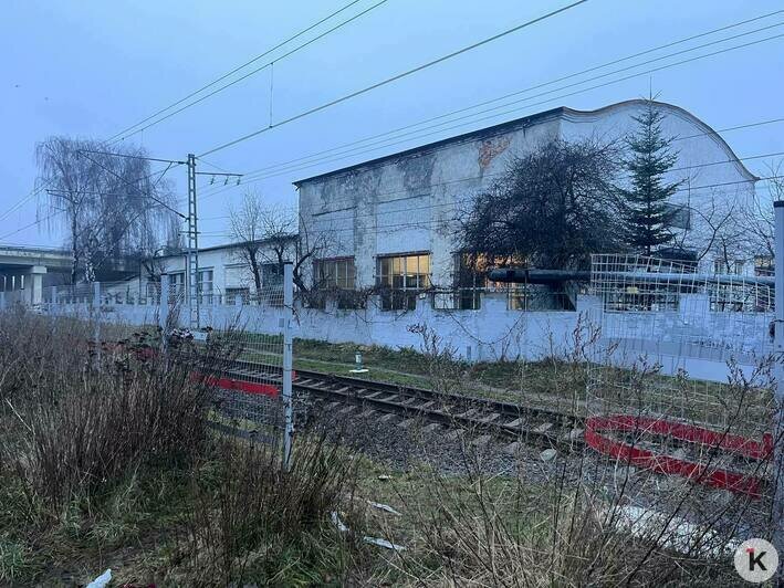 «Это не хулиганство — это логистика»: почему в Калининграде не работают заборы на ЖД - Новости Калининграда | Фото: «Клопс»